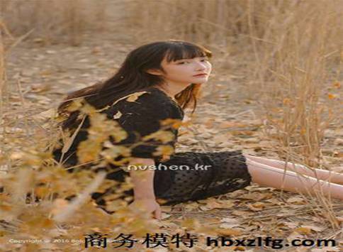 北京商务模特价格表,北京商务模特一晚多少钱